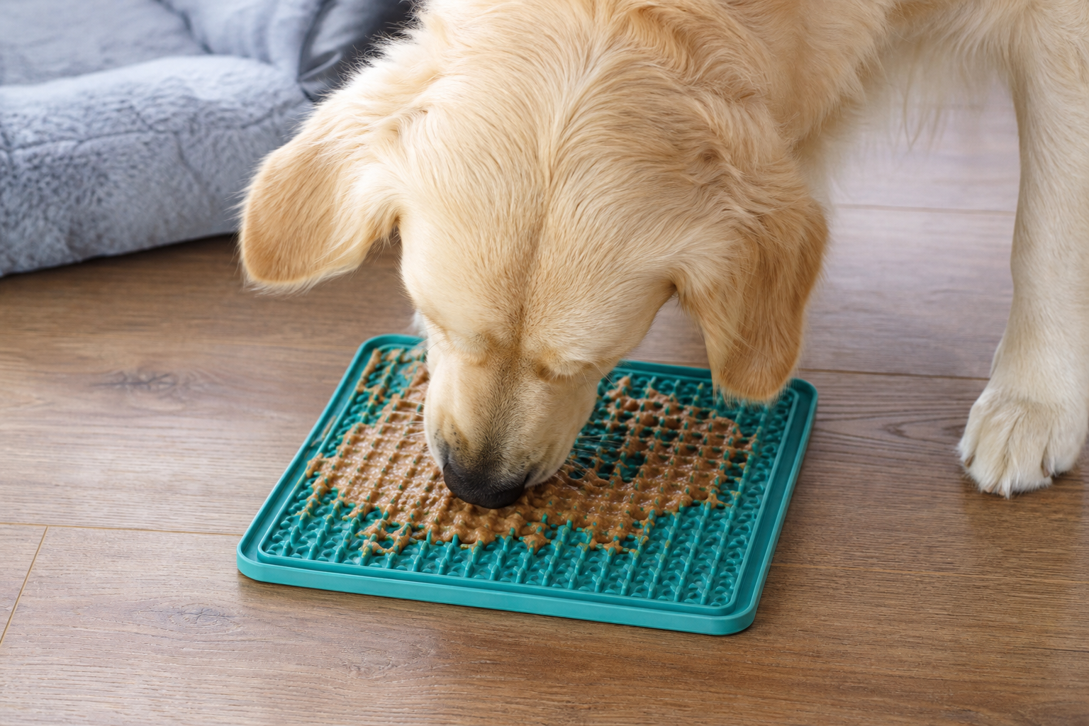 Lick Mats for Dogs: Calming Benefits & Enrichment Ideas