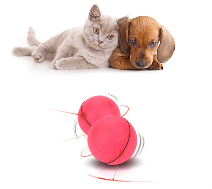 360° LED Rolling Cat Toy Ball – USB Rechargeable Interactive Ball with Catnip & Feathers