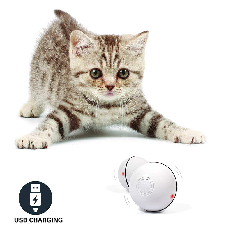 360° LED Rolling Cat Toy Ball – USB Rechargeable Interactive Ball with Catnip & Feathers