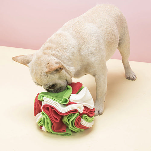 Dog playing with a colorful fleece ball toy on a light pink background