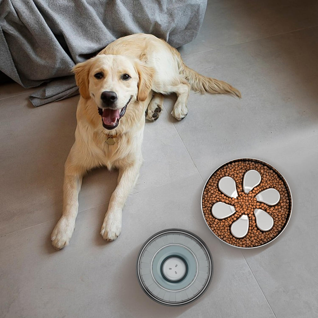 Feedoo Slow Feeder Dog Bowl – Stainless Steel, Non-Slip, Dishwasher Safe (2 Pack)