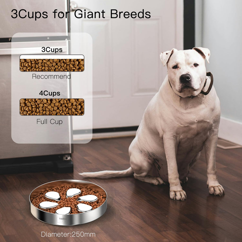 Feedoo Slow Feeder Dog Bowl – Stainless Steel, Non-Slip, Dishwasher Safe (2 Pack)