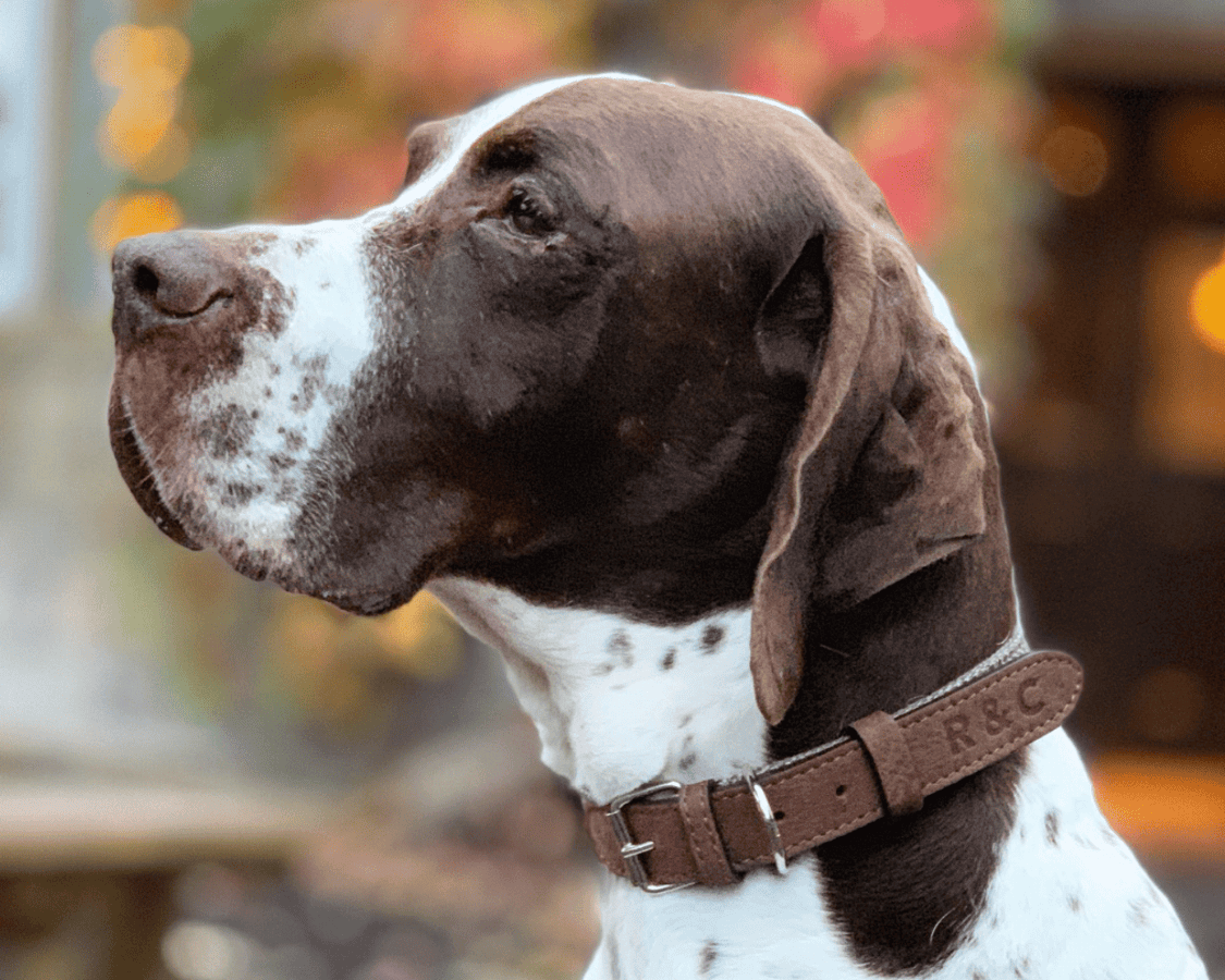 Luxury Herringbone & Leather Dog Collar – Lincoln (Brown Nubuck)